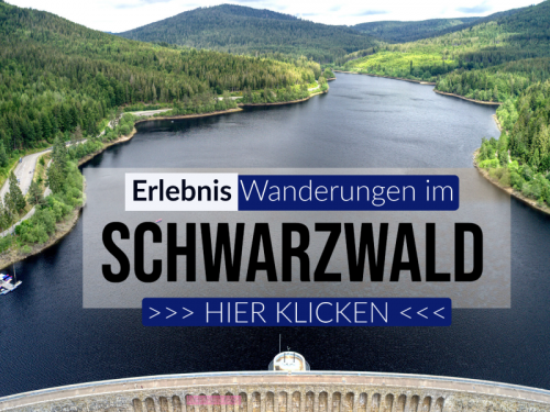 Erlebnis_Wanderung_Kinder_Schwarzwald