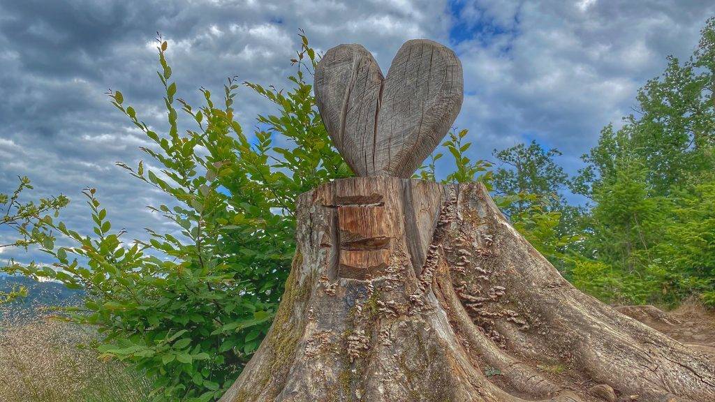 Herz aus Holz au fdem Räuberpfad