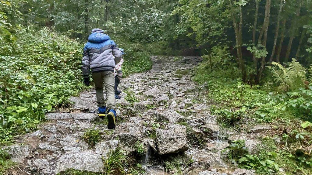 Wandern Kinder Schwarzwald