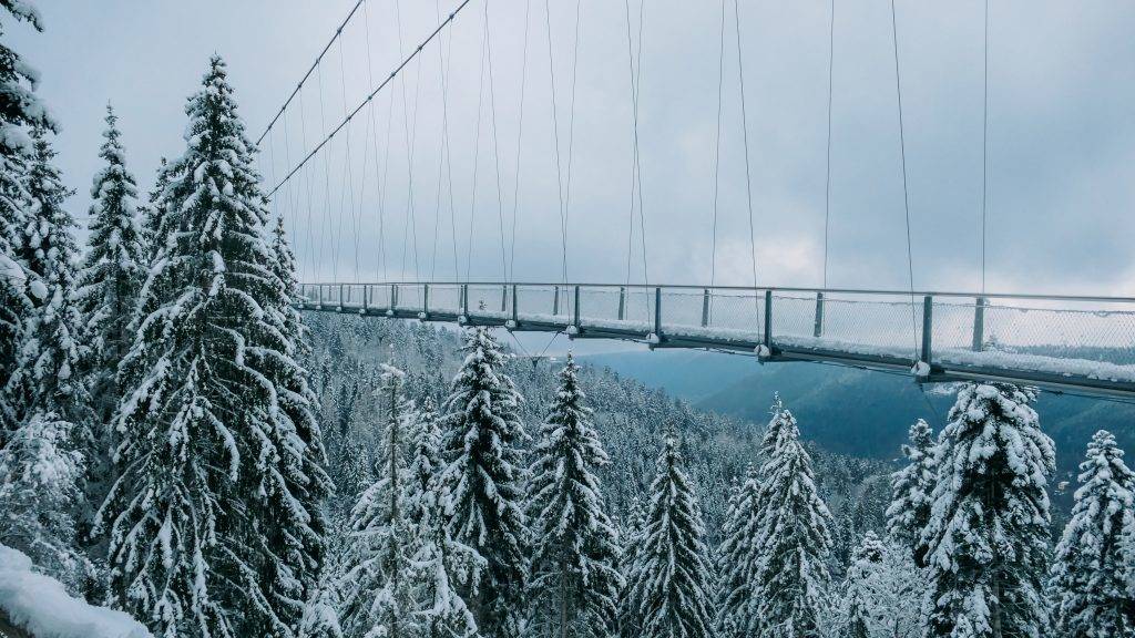 Wildline Hängebrücke Winter