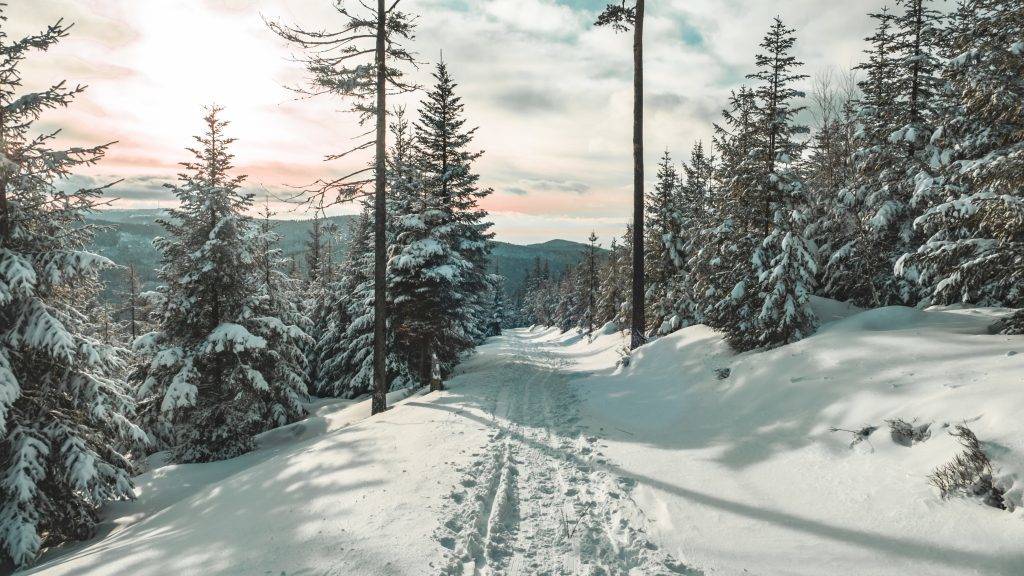 Winter Wonderland Schwarzwald