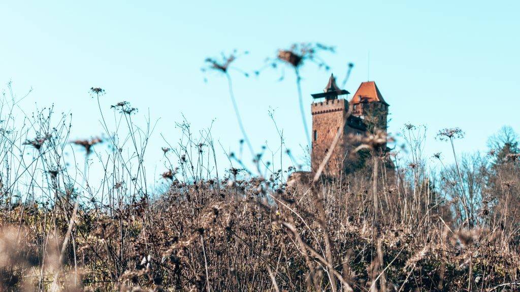 Burg Berwartstein Erlenbach