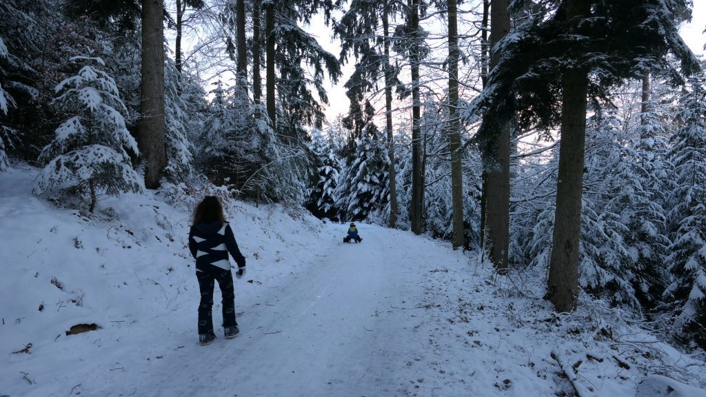 Schlittenfahren Winter Wald