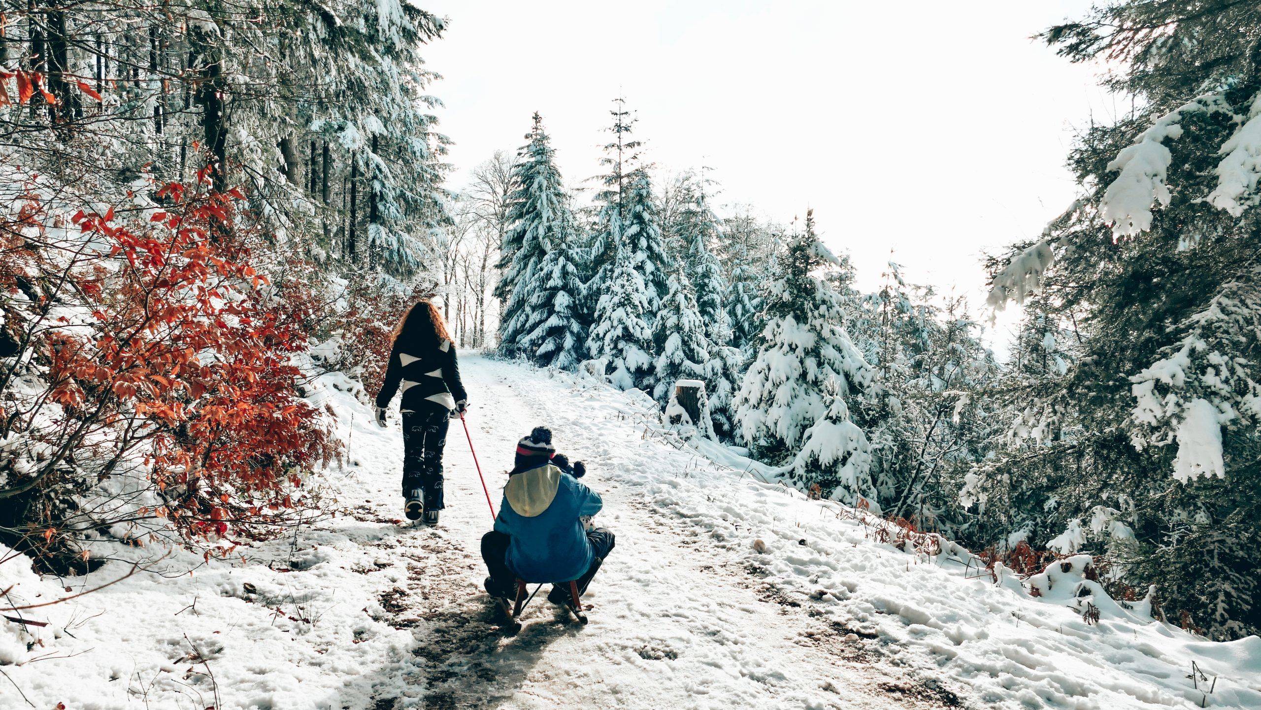 Winterwandern Kinder Schwarzwald