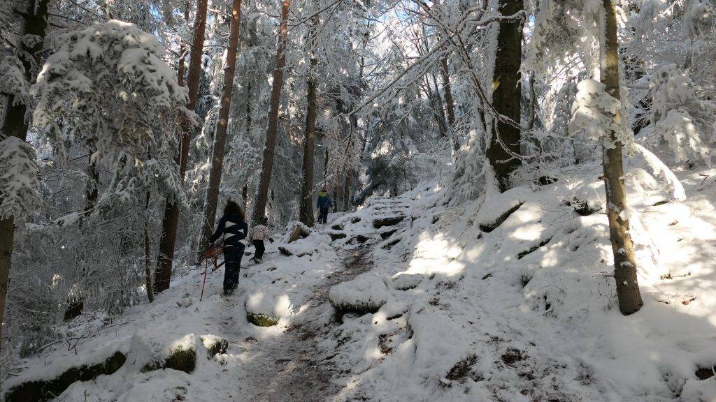 Winter Wandern Schwarzwald
