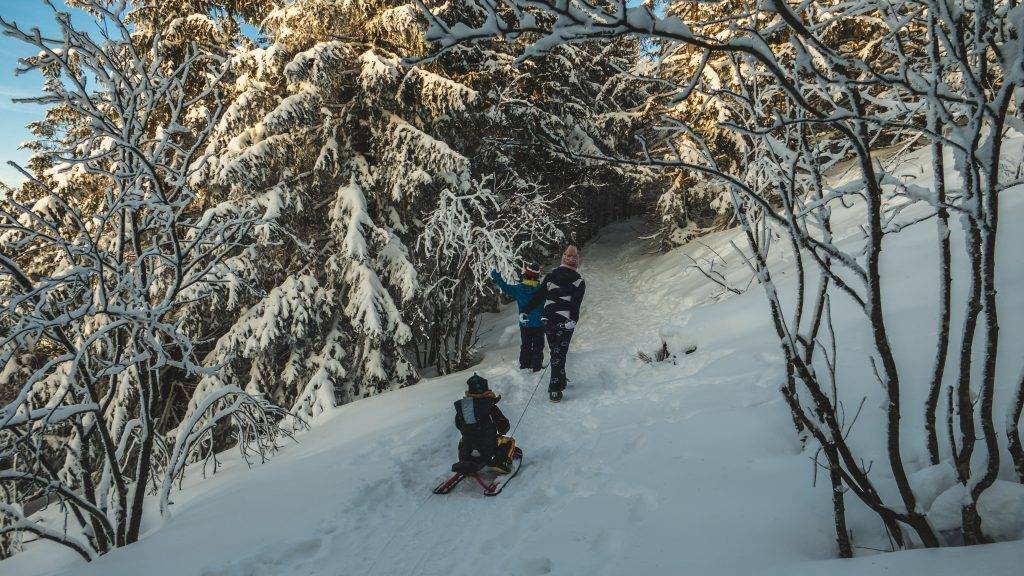 Winterwandern Kinder Schwarzwald