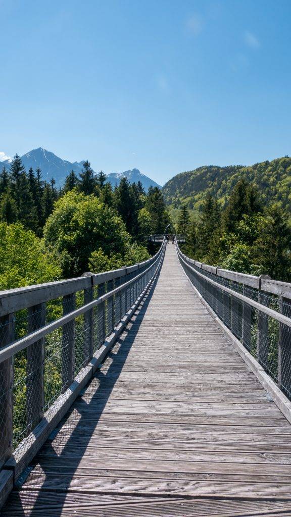 Walderlebniszentrum Ziegelwies Baumkronenweg Füssen