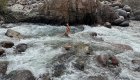 Flussbett Wandern Korsika