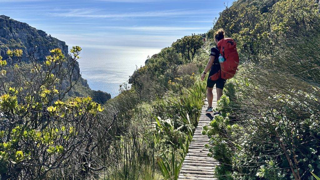Bohlenweg mitten in der Natur mit Ausblick auf das Meer unterhalb vom Gipfel des Tafelbergs
