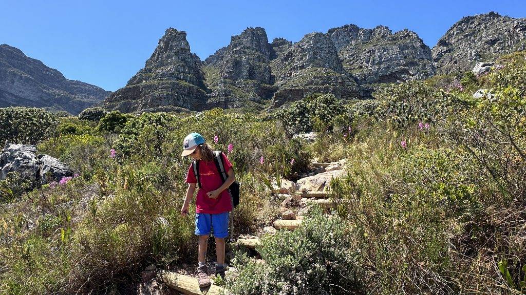 Trailpfad mitten in der Natur, vorbei an den 12 Aposteln hinauf zum Tafelberg