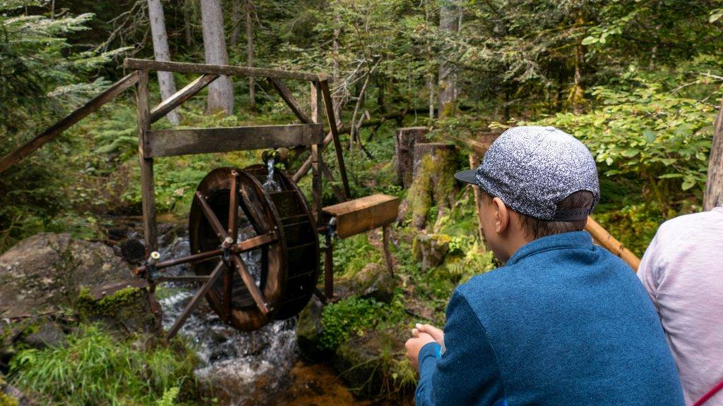 kleines Mühlenrad mitten im Wald, auf dem Zauberwald Pfad in Bernau