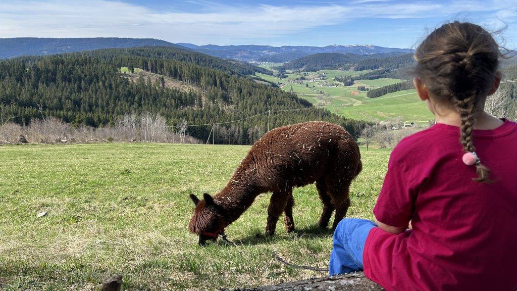 Ausflugtipps Hochschwarzwald mit Kindern
